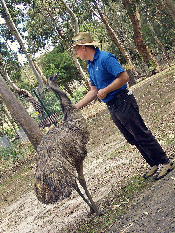 Marc und das Emu