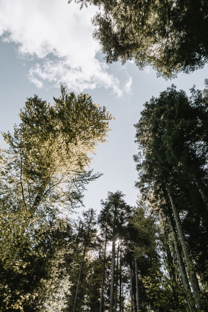 d-schwangeneck-tour-13